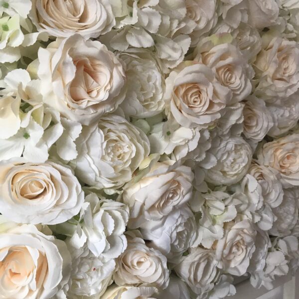 Cream Wedding Flower wall, Bridal Flower Backdrop - Image 2