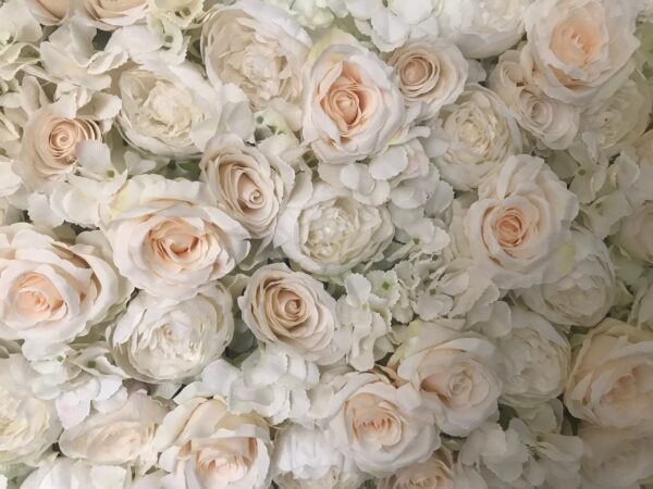 Cream Wedding Flower wall, Bridal Flower Backdrop