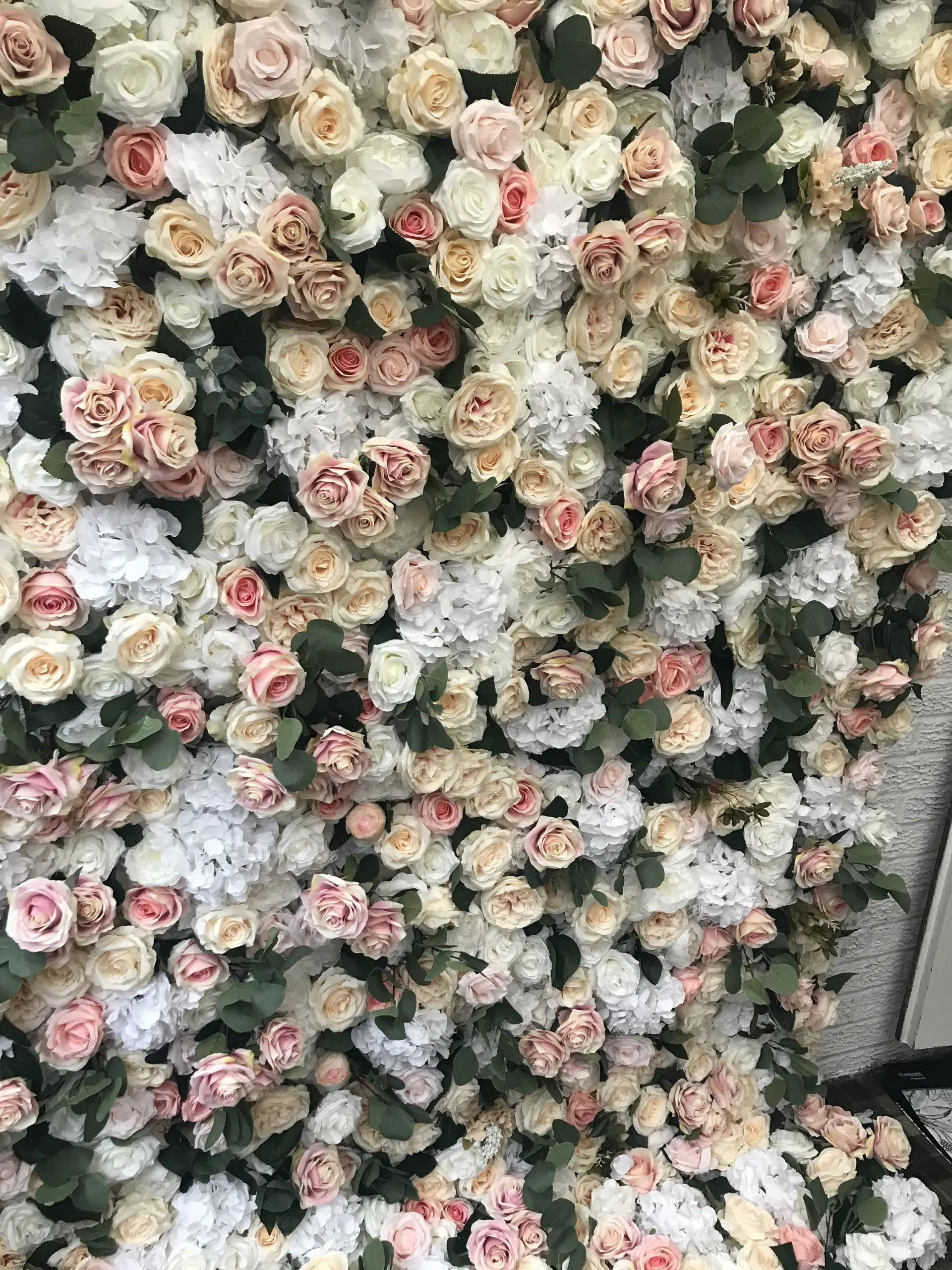 IVY CRUZ Flower Walls, Floral Arrangements | Commercial and Functions Peach Blush Flower Wall - Image 3