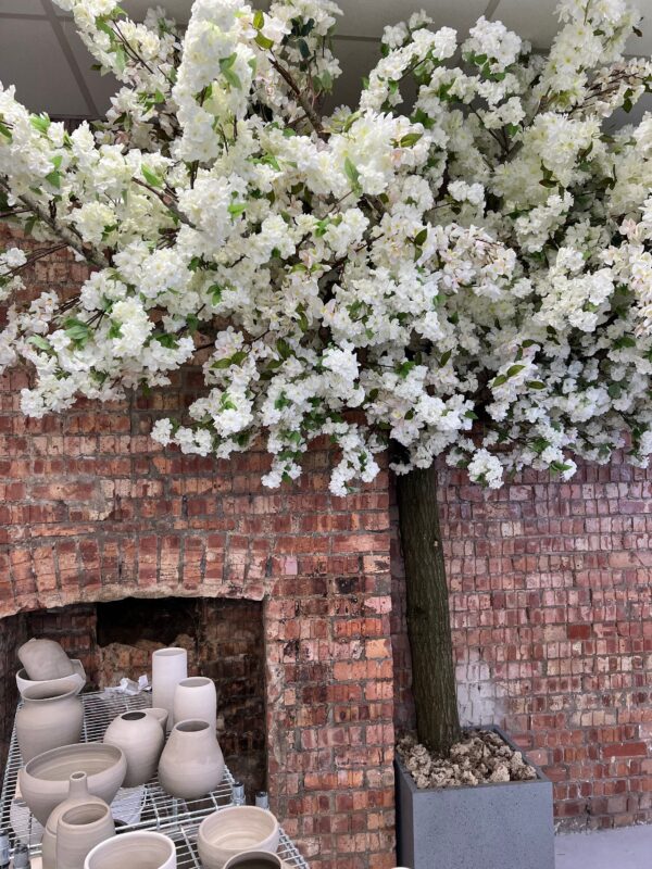 White Restaurant Cherry Blossom Tree