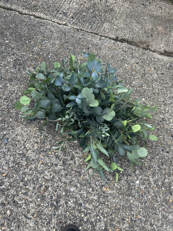 Foliage Aisle Floor Piece, Wedding Aisle Flower Arrangements - Image 3