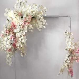 Orchids and Florals