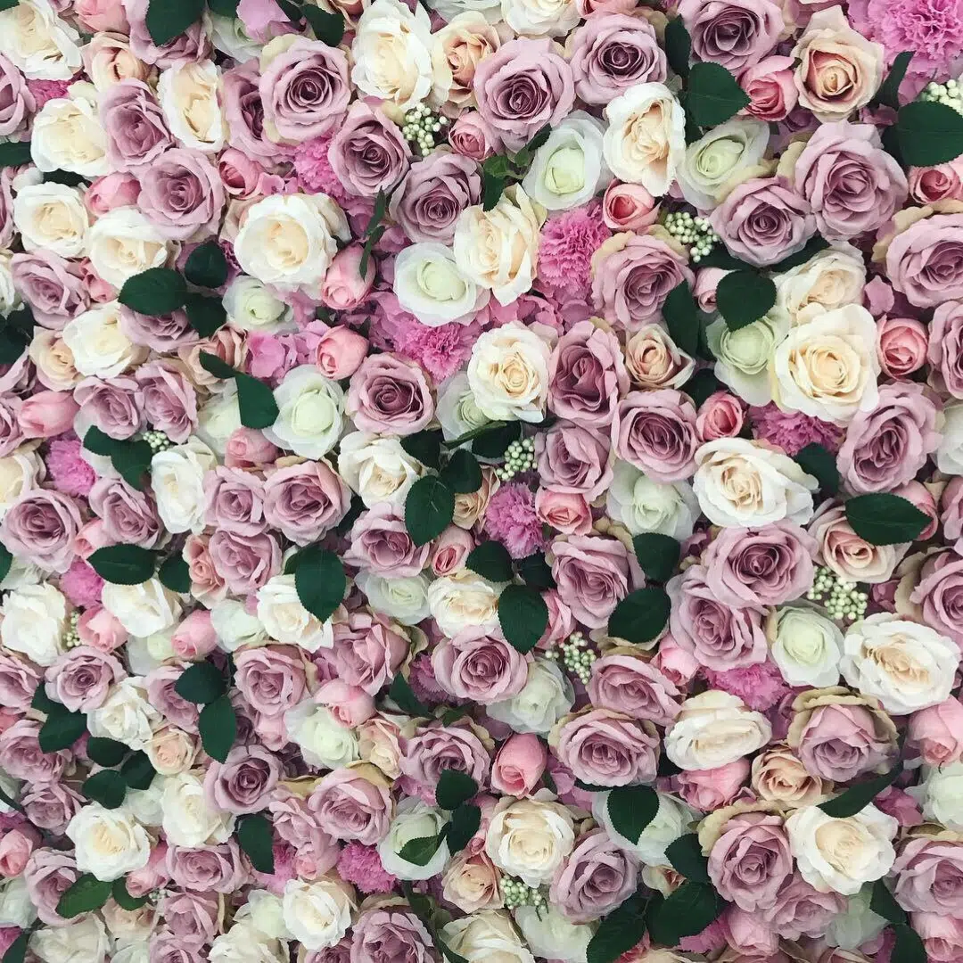 IVY CRUZ Flower Walls, Floral Arrangements | Commercial and Functions IVY CRUZ Flower Walls, Floral Arrangements | Commercial and Functions