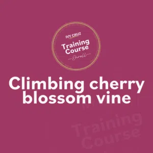 Tutorial 4 Climbing cherry blossom vine - Restaurant Decor