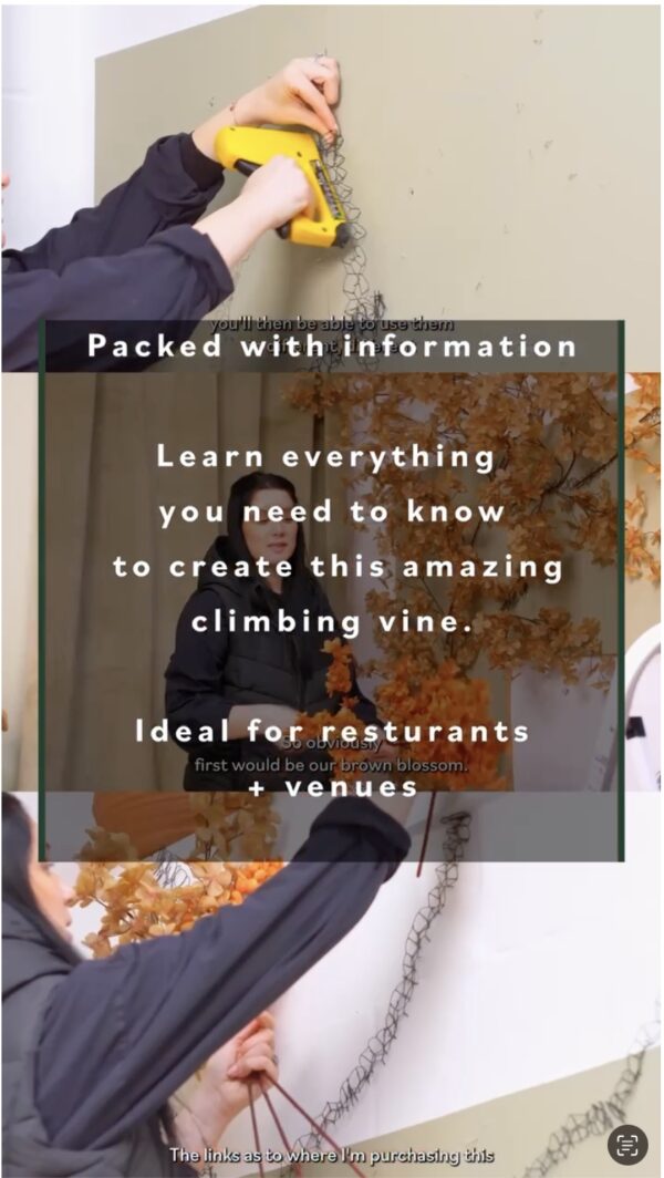 Tutorial 4 Climbing cherry blossom vine - Restaurant Decor - Image 5