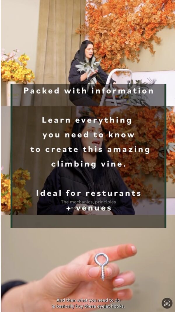 Tutorial 4 Climbing cherry blossom vine - Restaurant Decor - Image 3