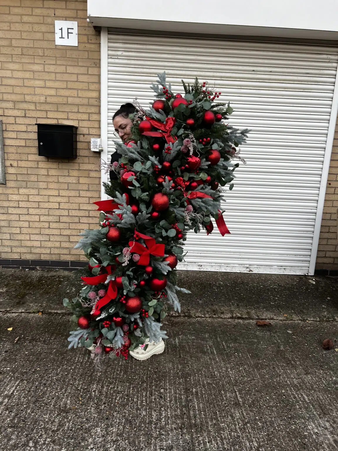 IVY CRUZ Flower Walls, Floral Arrangements | Commercial and Functions Shop Doorway Red Christmas Garland - Image 2