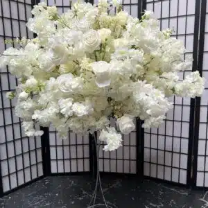 Tia Wedding Package Part 2