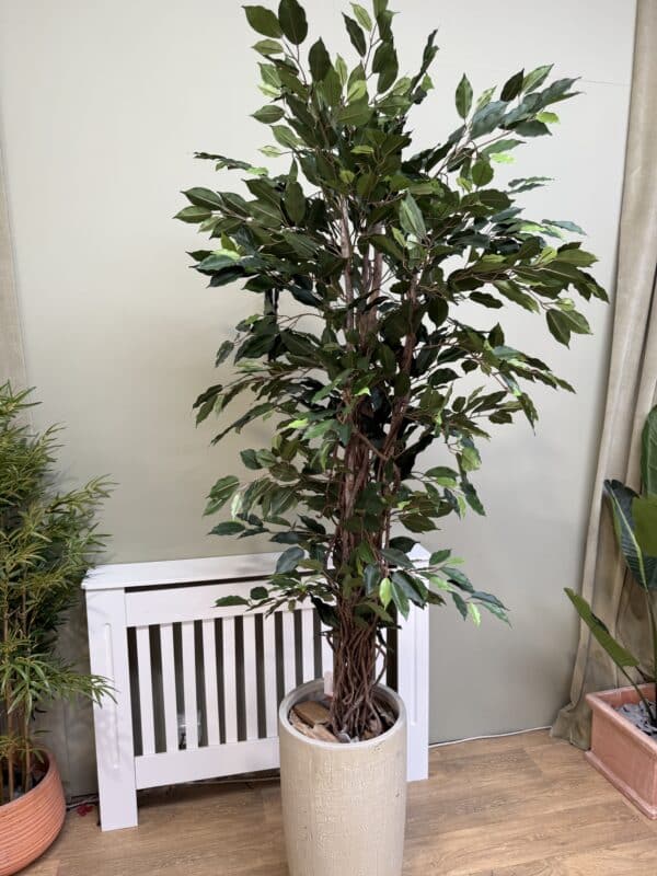 Artificial Ficus Tree – Fire-Rated Foliage – Handmade in the UK – 150cm Tall - Image 6