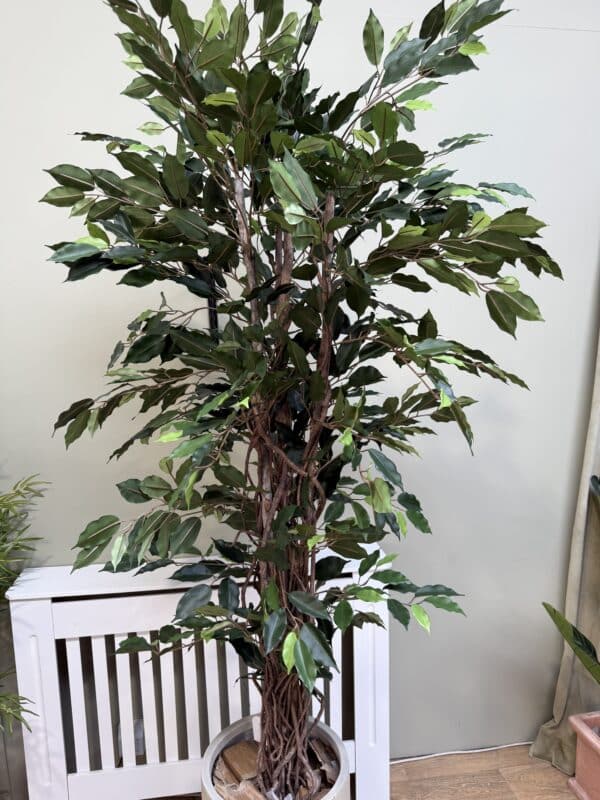 Artificial Ficus Tree – Fire-Rated Foliage – Handmade in the UK – 150cm Tall - Image 8