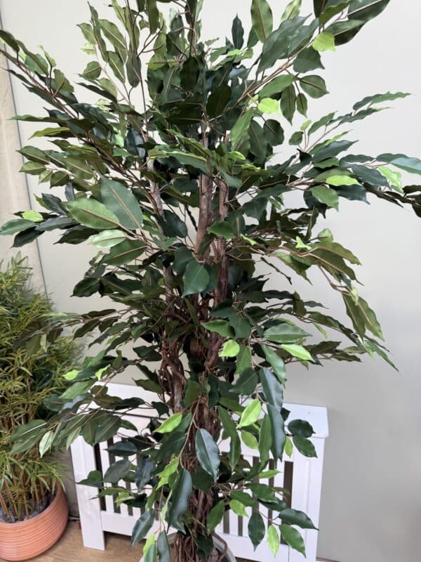 Artificial Ficus Tree – Fire-Rated Foliage – Handmade in the UK – 150cm Tall - Image 5
