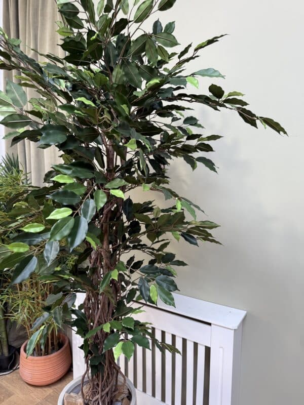 Artificial Ficus Tree – Fire-Rated Foliage – Handmade in the UK – 150cm Tall - Image 4