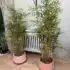 Artificial Bamboo Plant – 150cm Tall