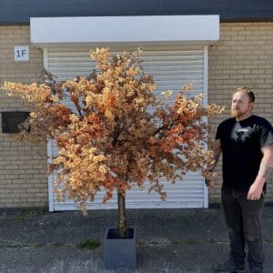 Artificial Brown Cherry Blossom Tree - Fall Cherry Blossom Tree