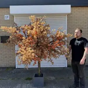 Artificial Brown Cherry Blossom Tree - Fall Cherry Blossom Tree