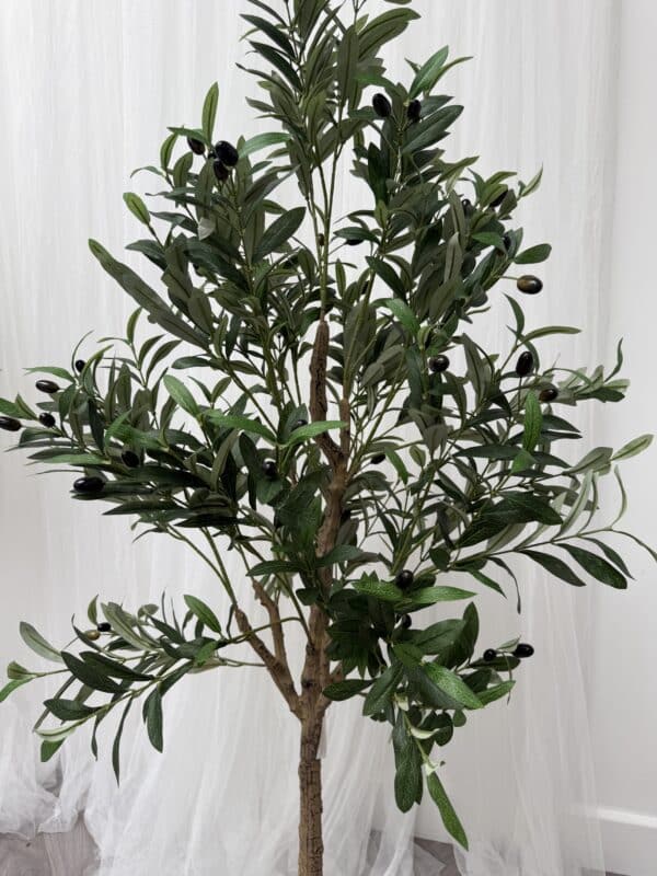 Artificial Potted Olive Tree – Available in Three Sizes - Image 4