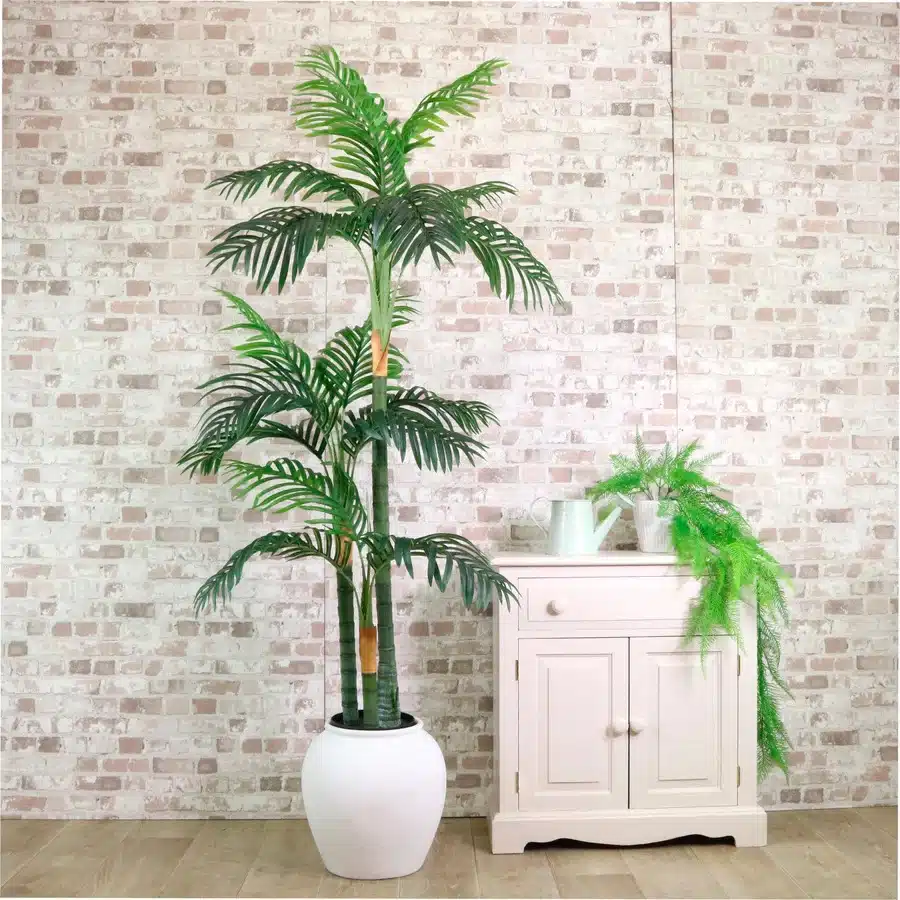 IVY CRUZ Flower Walls, Floral Arrangements | Commercial and Functions Elegant Artificial Kentia Palm Tree - 180 cms