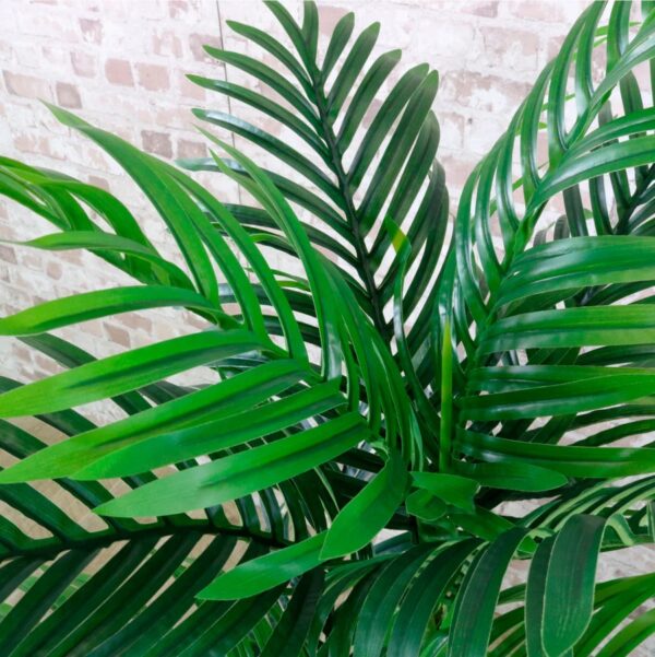 Elegant Artificial Kentia Palm Tree - 180 cms - Image 3