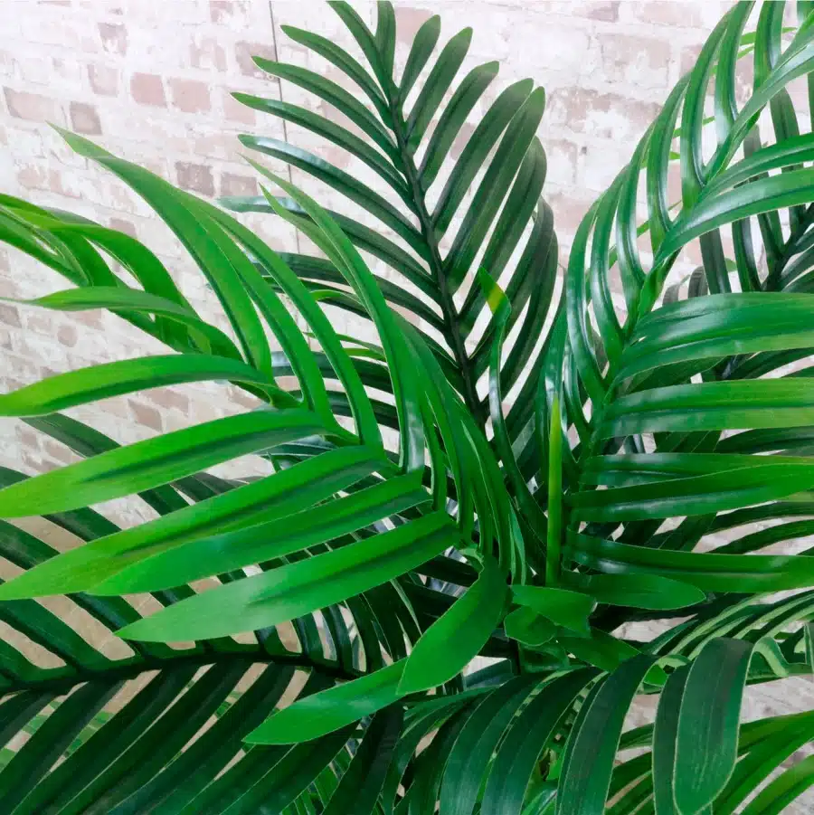 IVY CRUZ Flower Walls, Floral Arrangements | Commercial and Functions Elegant Artificial Kentia Palm Tree - 180 cms - Image 3