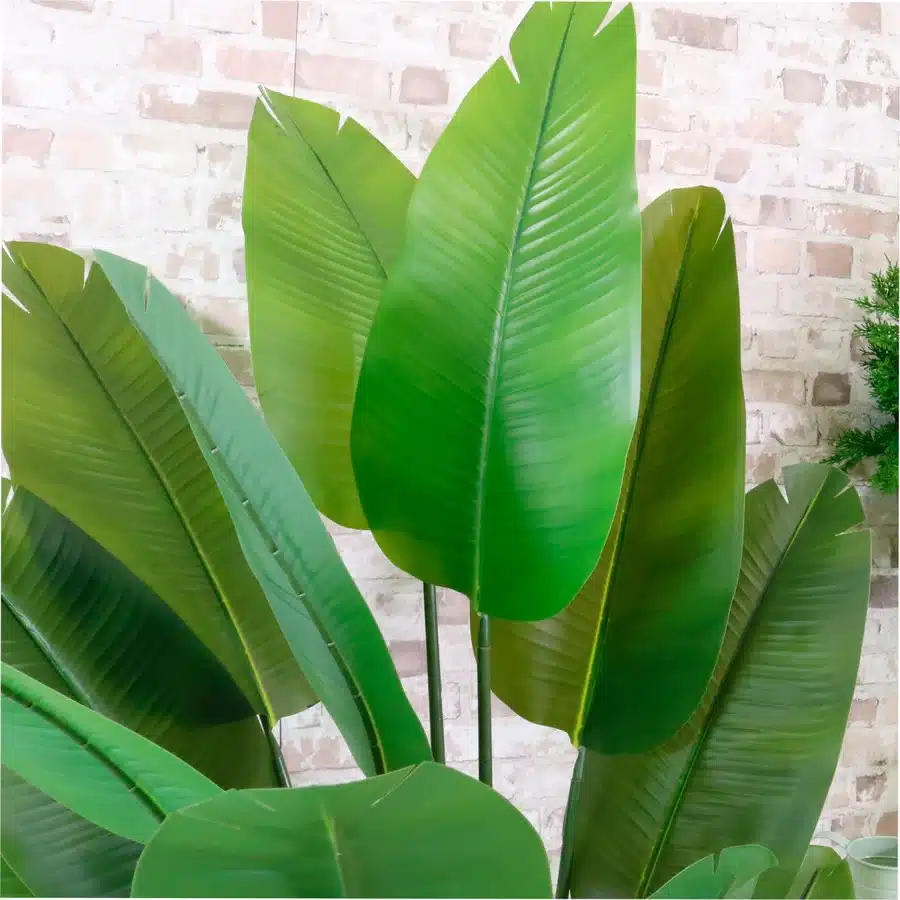 IVY CRUZ Flower Walls, Floral Arrangements | Commercial and Functions Artificial Banana Palm Tree – 120cm Free Standing - Image 6