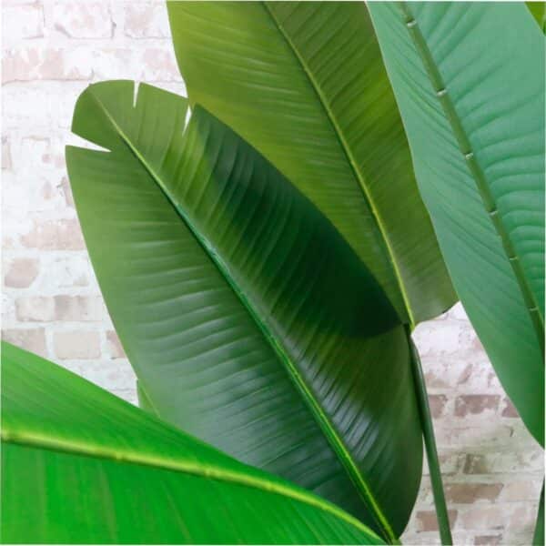 Artificial Banana Palm Tree – 120cm Free Standing - Image 5