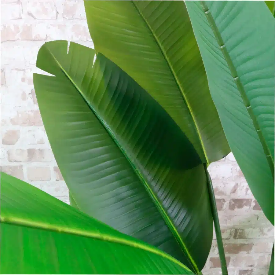 IVY CRUZ Flower Walls, Floral Arrangements | Commercial and Functions Artificial Banana Palm Tree – 120cm Free Standing - Image 5