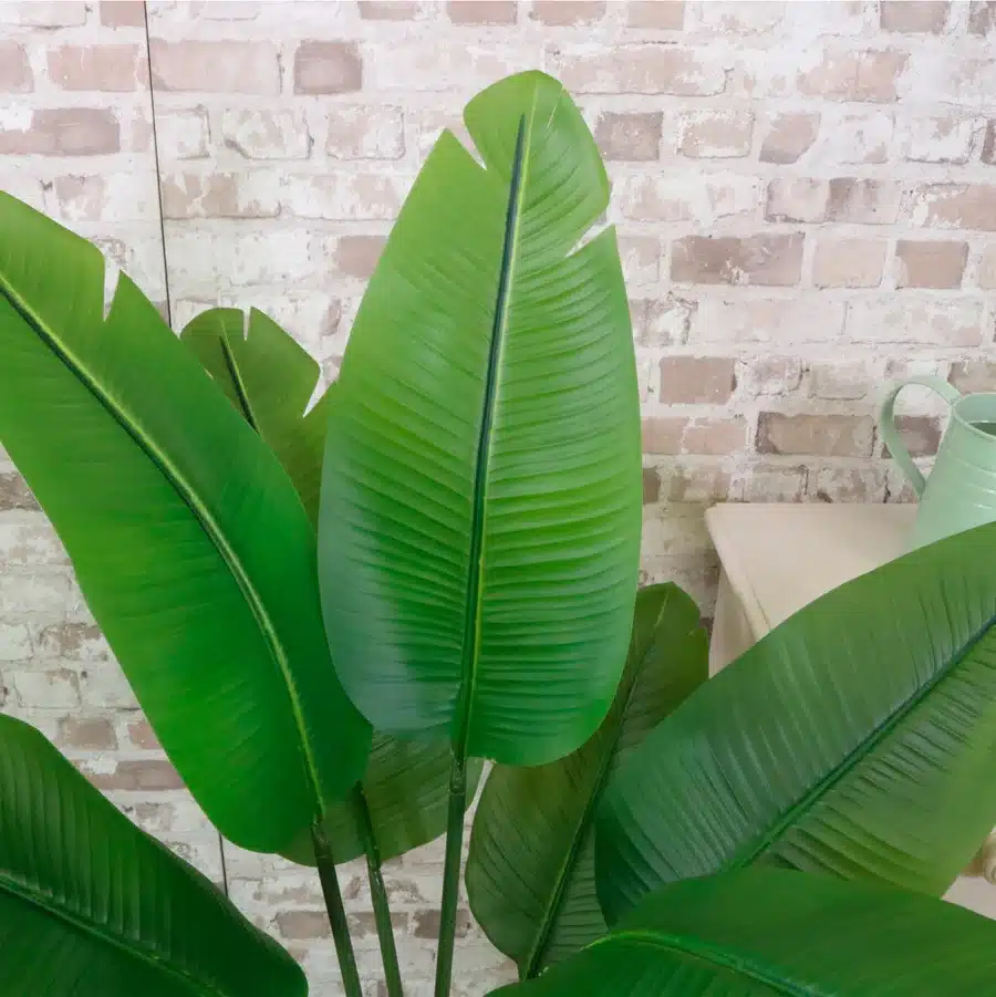 IVY CRUZ Flower Walls, Floral Arrangements | Commercial and Functions Artificial Banana Palm Tree – 120cm Free Standing - Image 2