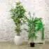 Artificial Bamboo Plant – Available in 2 Sizes - 120 cms