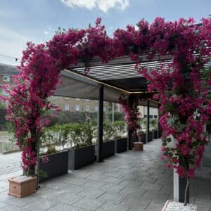 Bougainvillea garlands - custom size