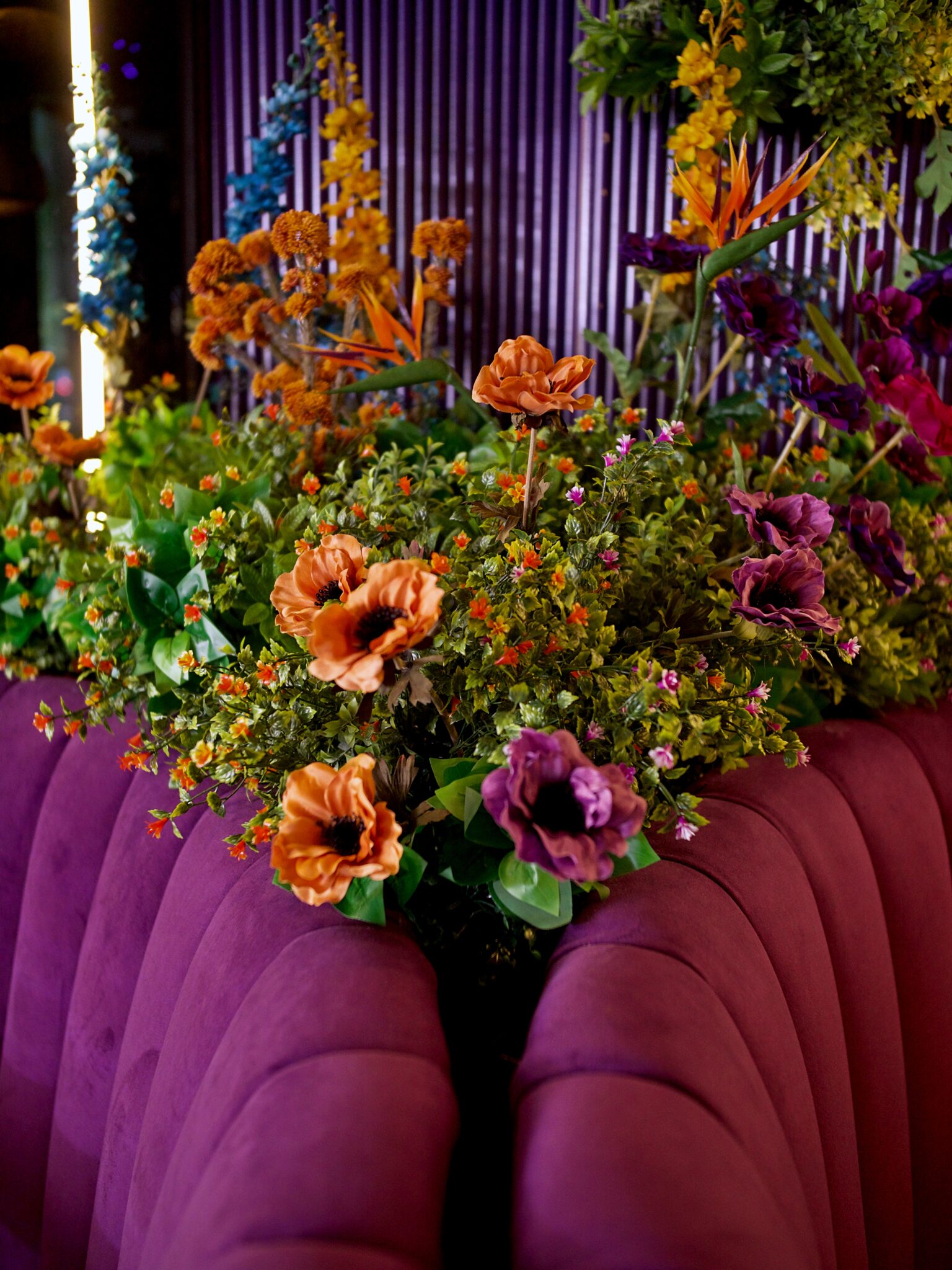 Amiri Lounge Ealing - P1422664