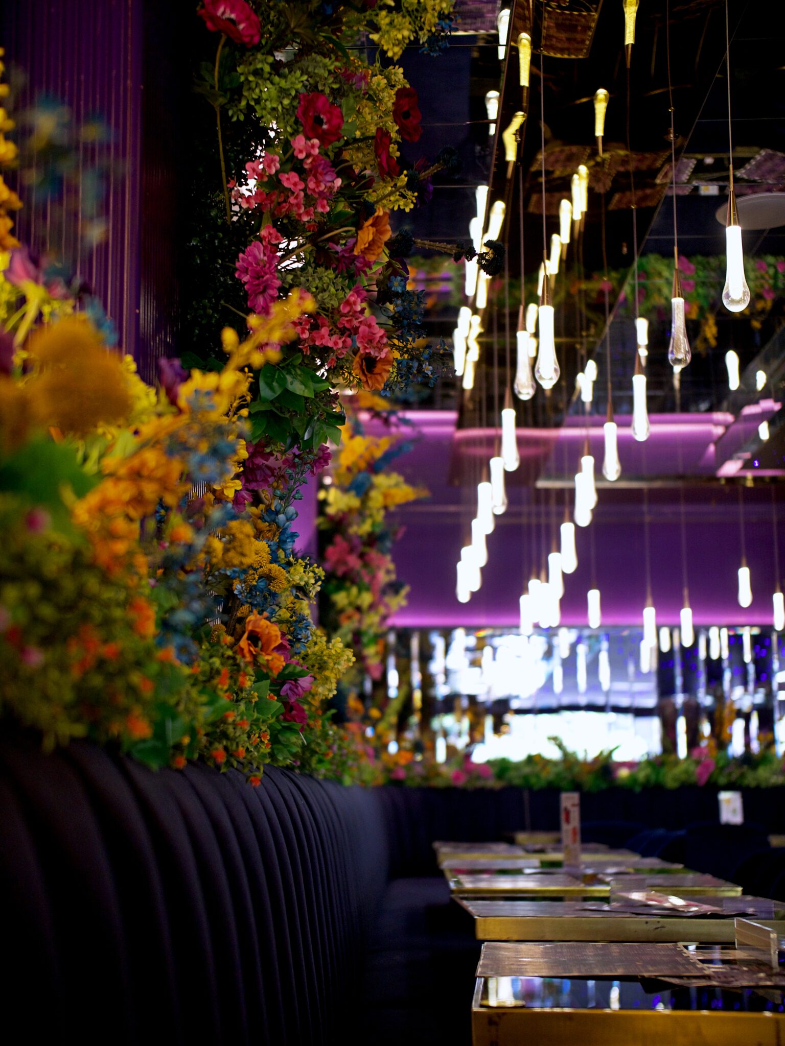 Amiri Lounge Ealing - P1422689