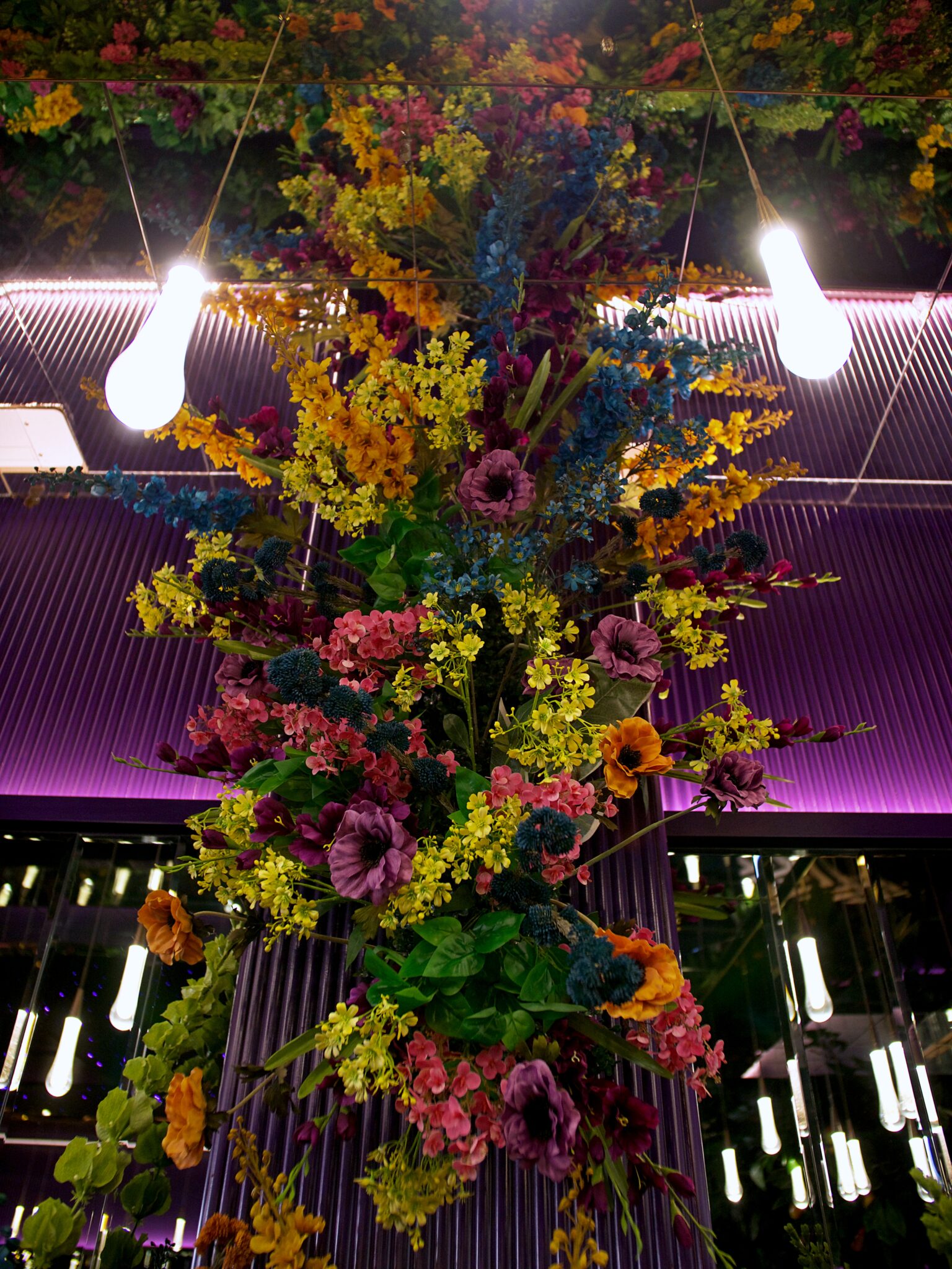 Amiri Lounge Ealing - P1422695