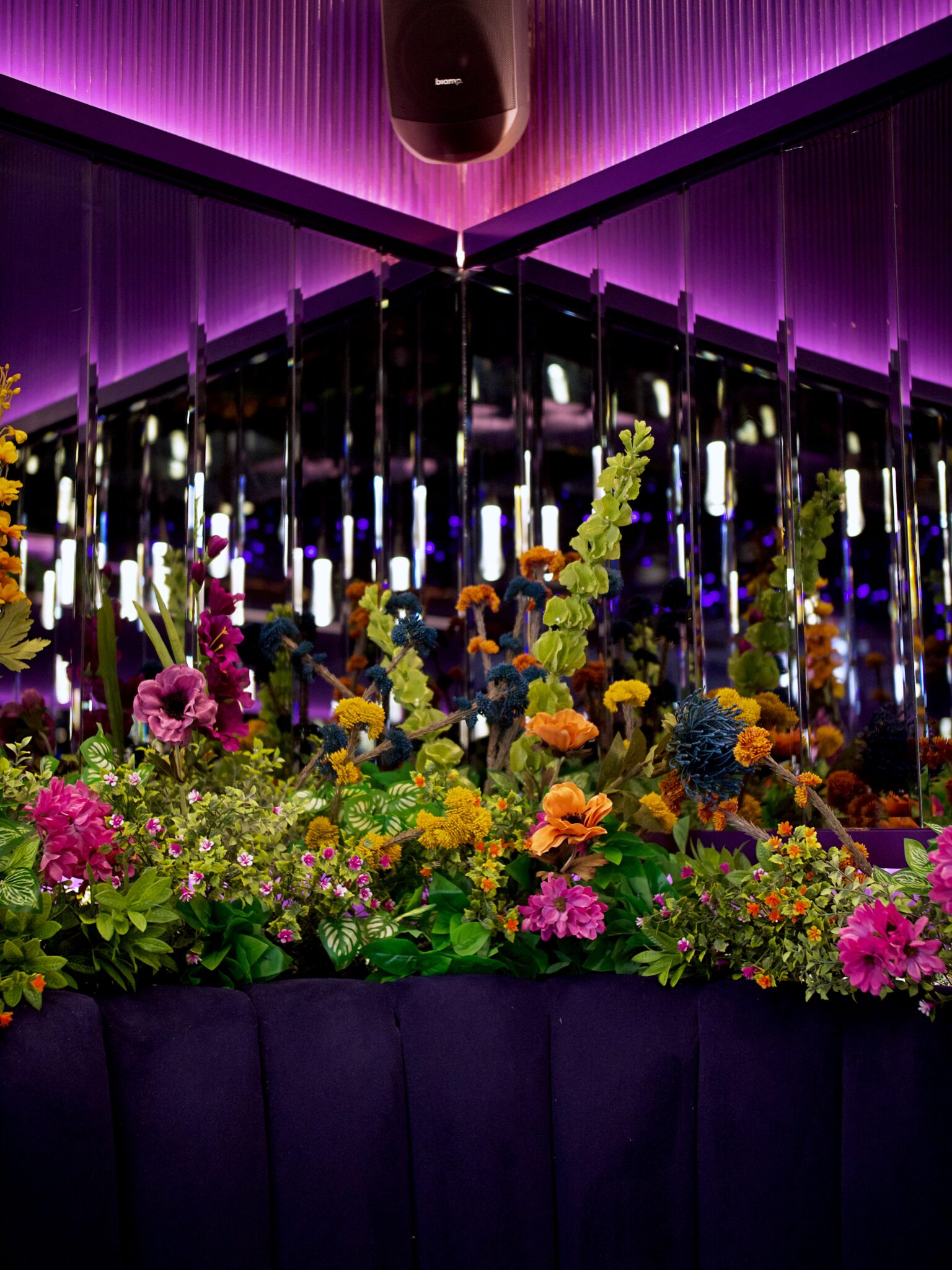 Amiri Lounge Ealing - P1422697