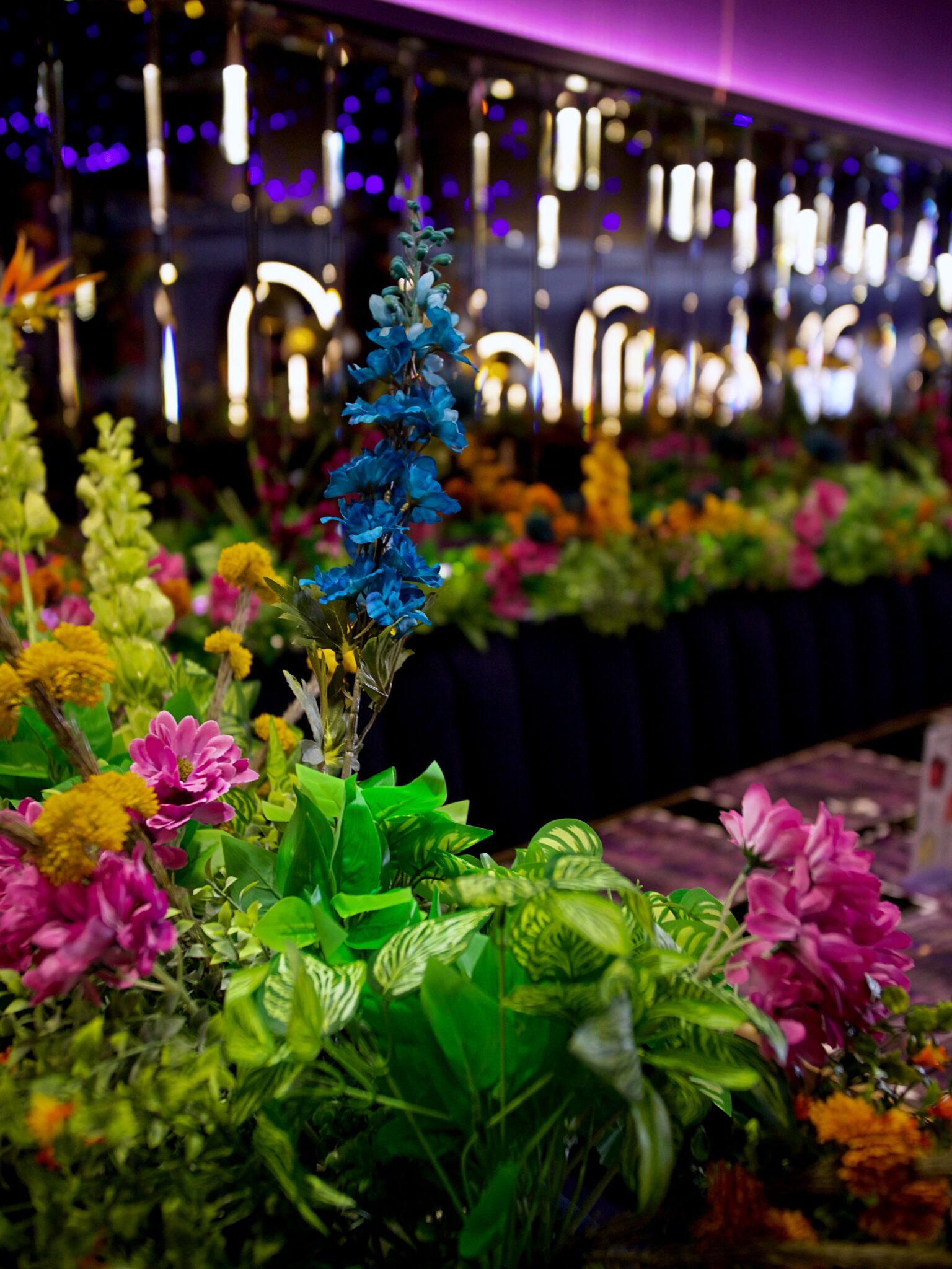 Amiri Lounge Ealing - P1422702