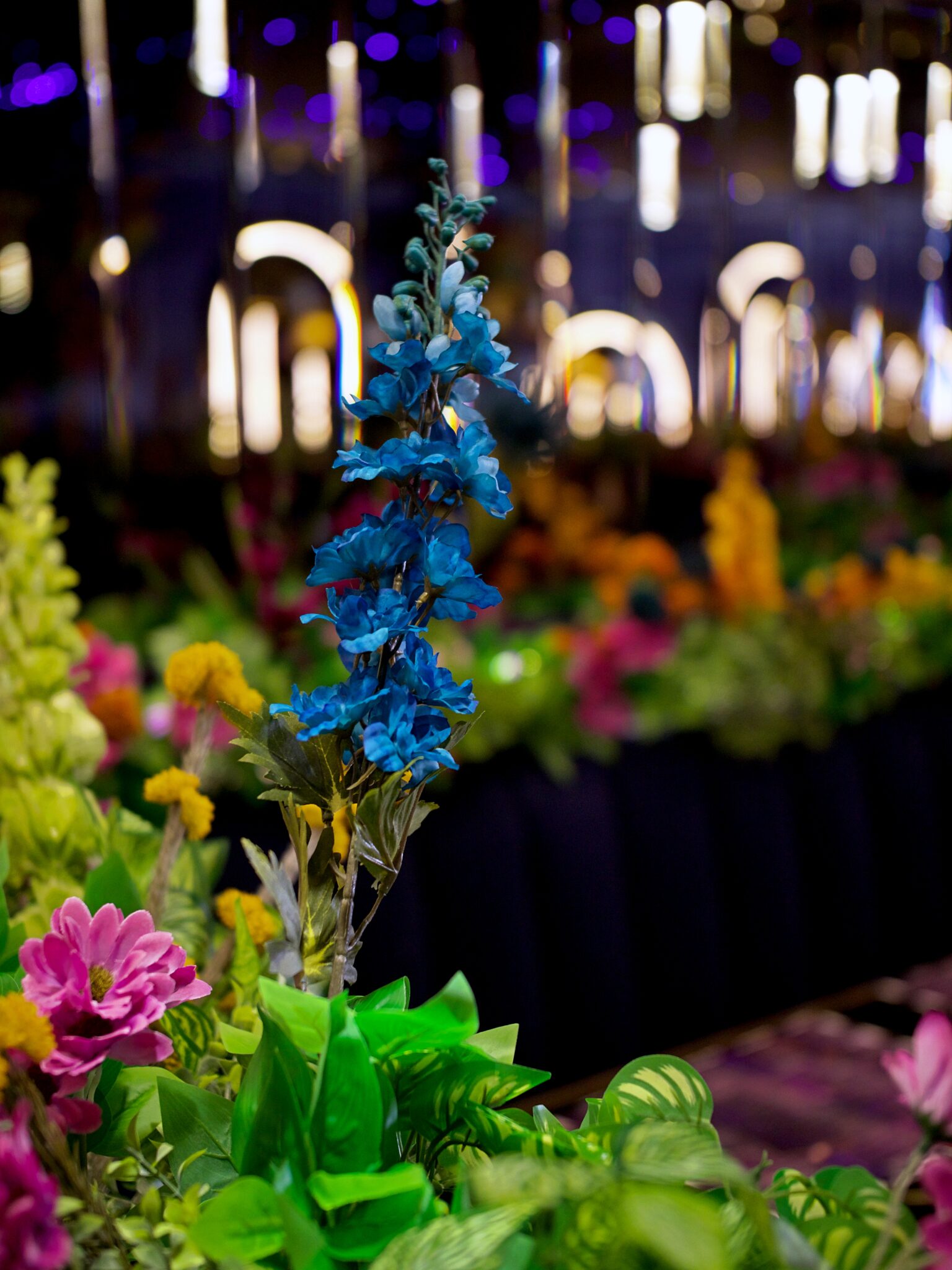 Amiri Lounge Ealing - P1422703