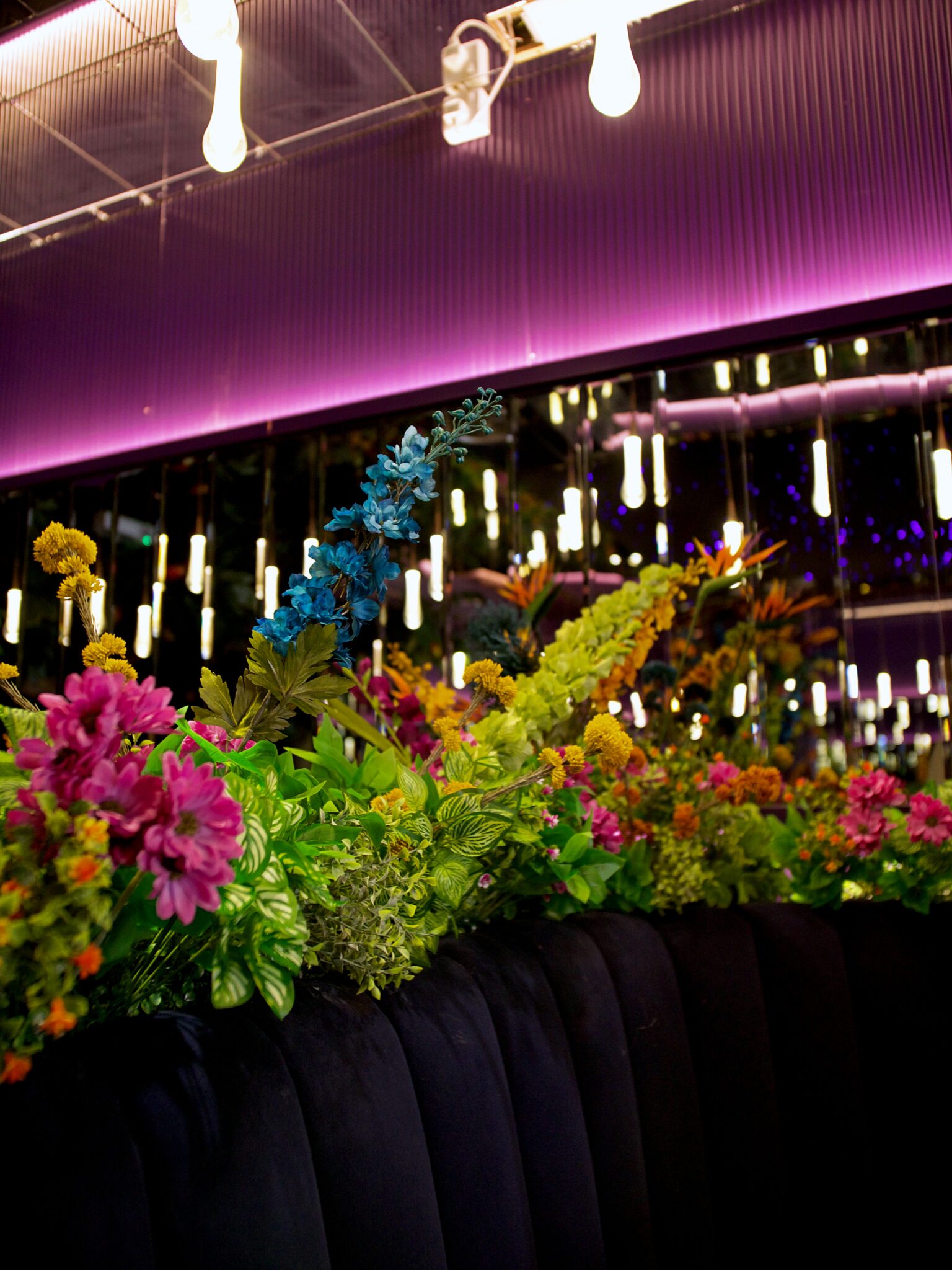 Amiri Lounge Ealing - P1422704