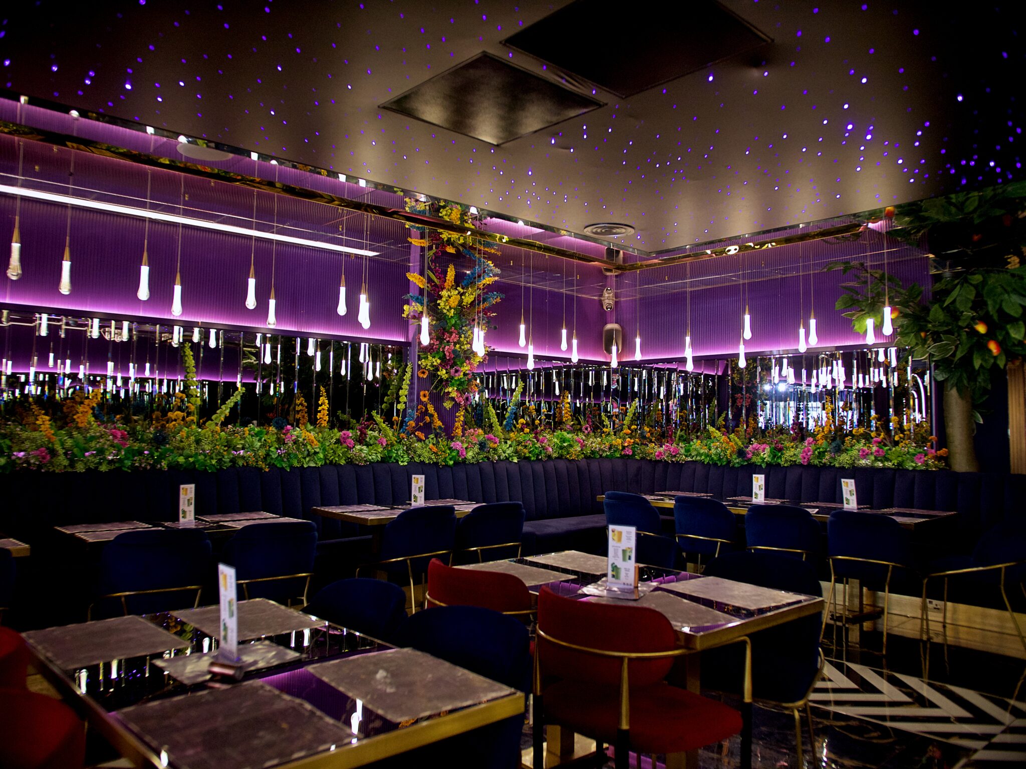 Amiri Lounge Ealing - P1422708