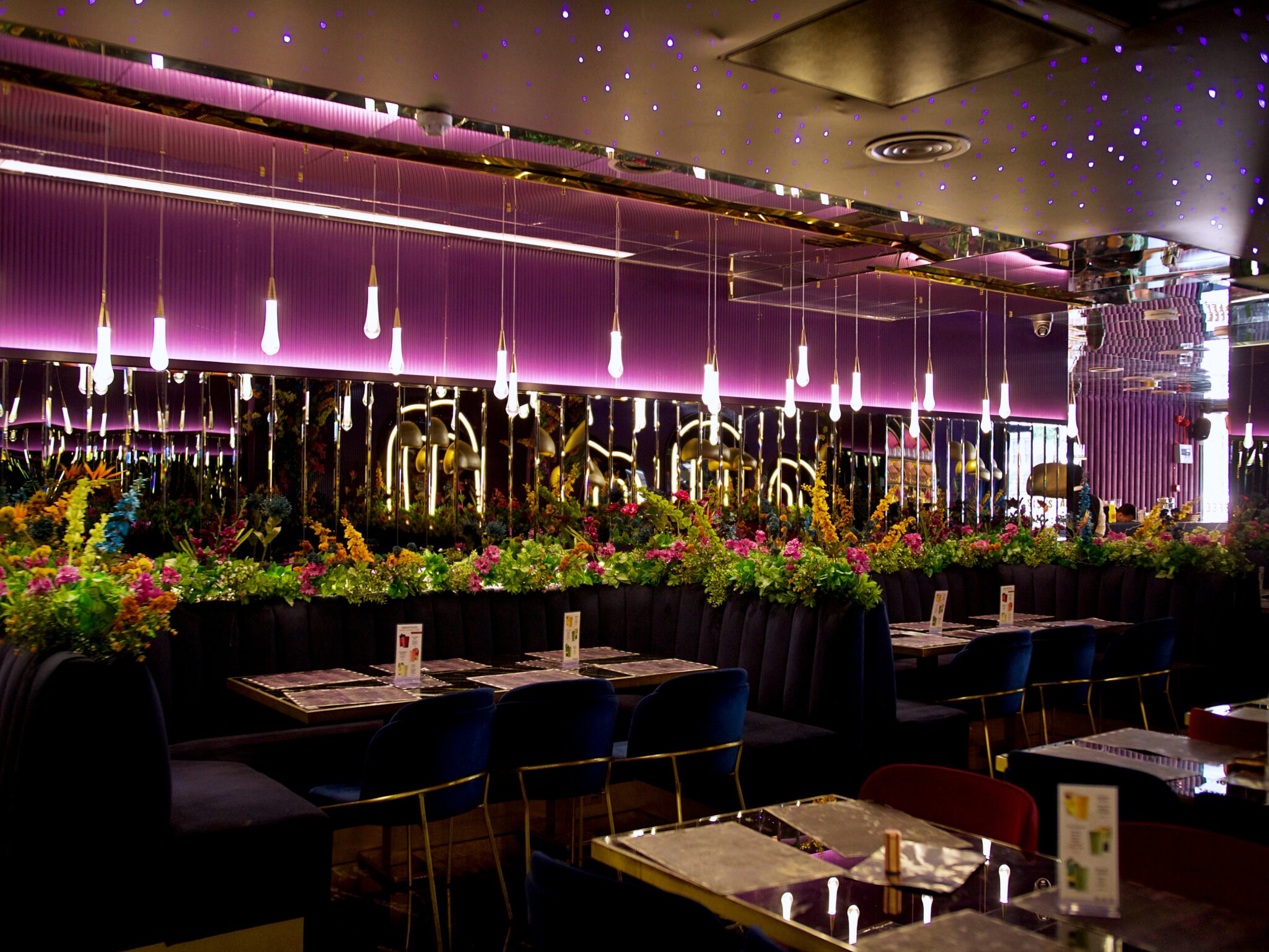 Amiri Lounge Ealing - P1422719