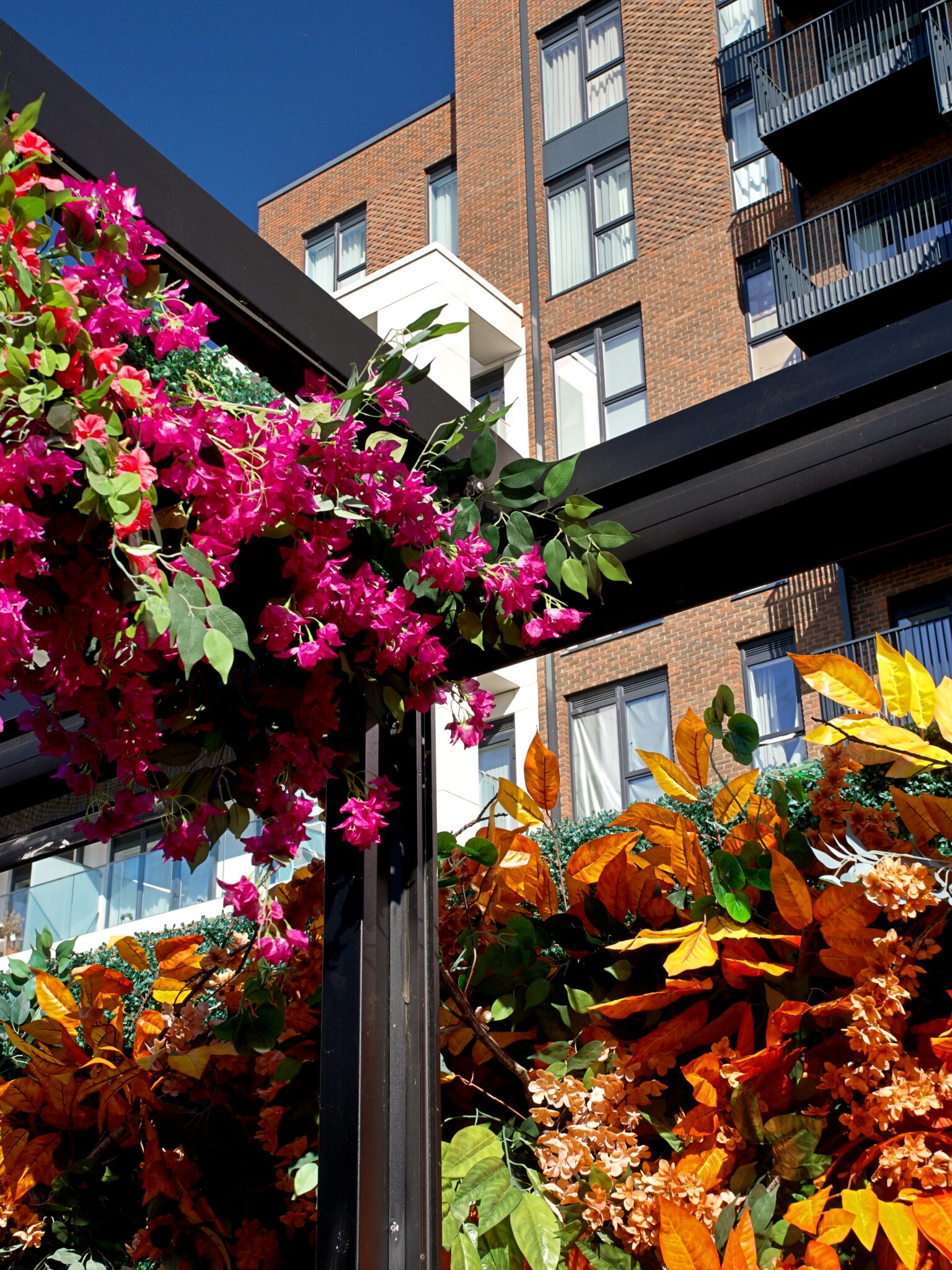 Amiri Lounge Ealing - P1422736