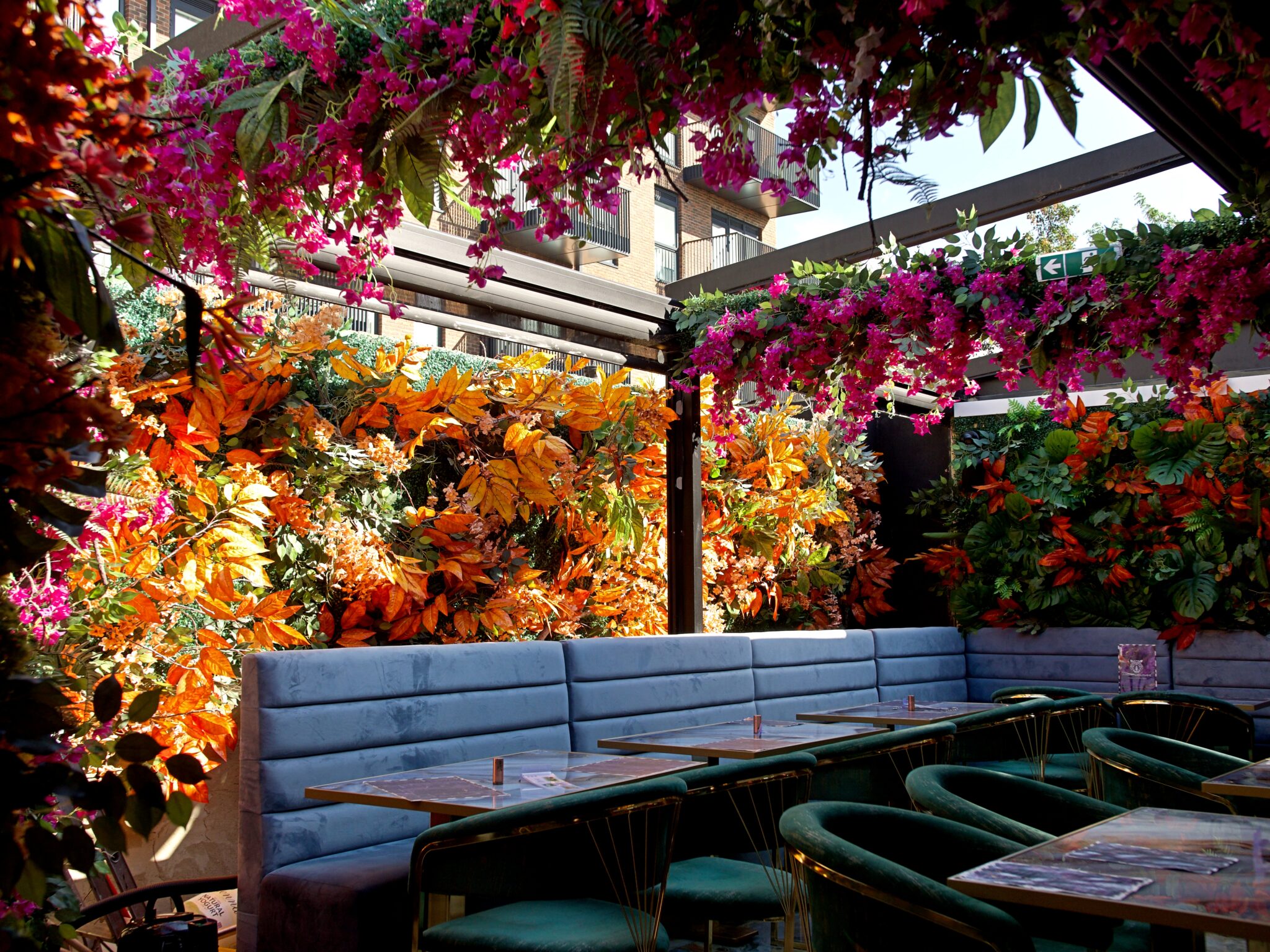 Amiri Lounge Ealing - P1422762