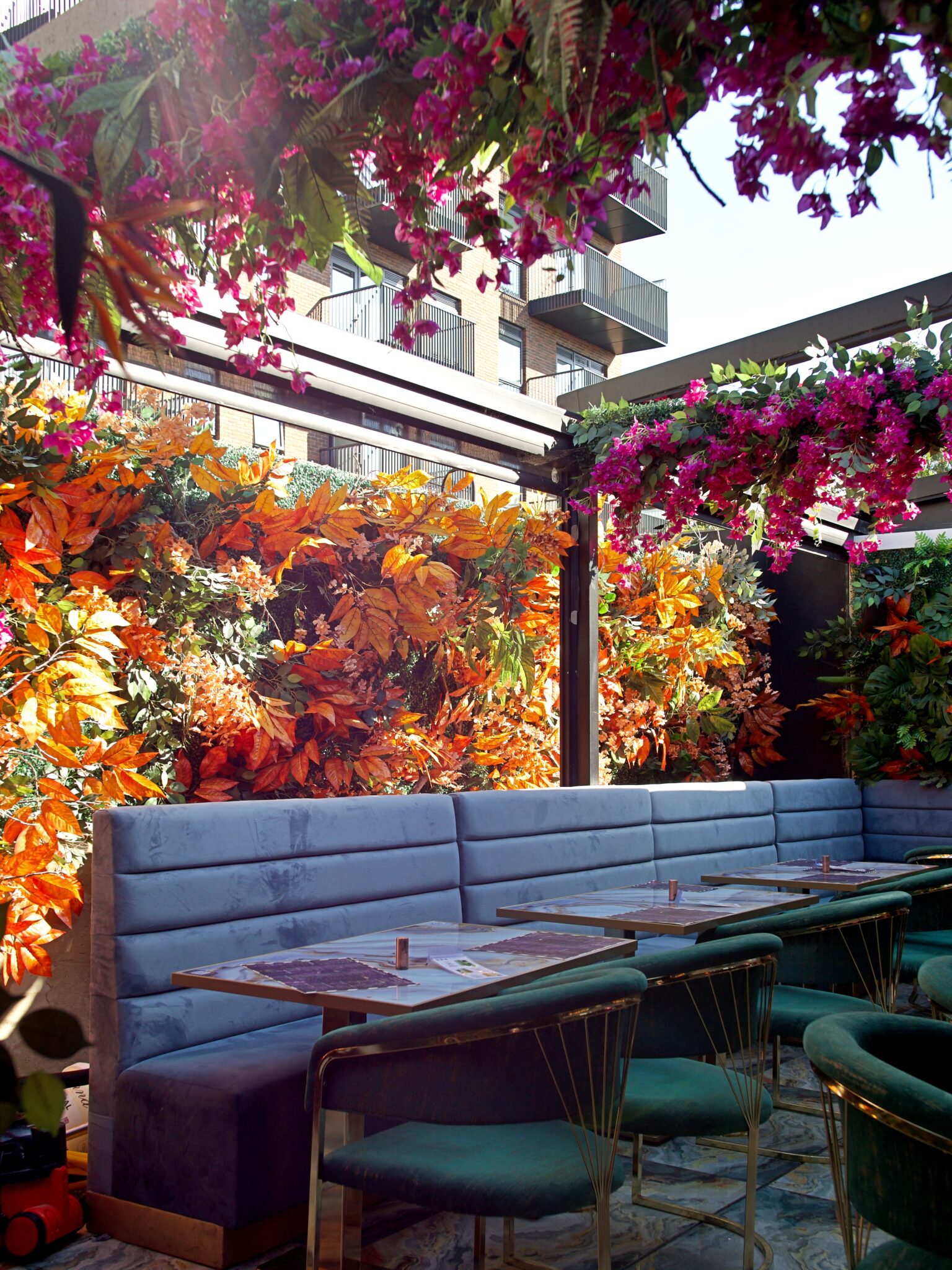 Amiri Lounge Ealing - P1422764