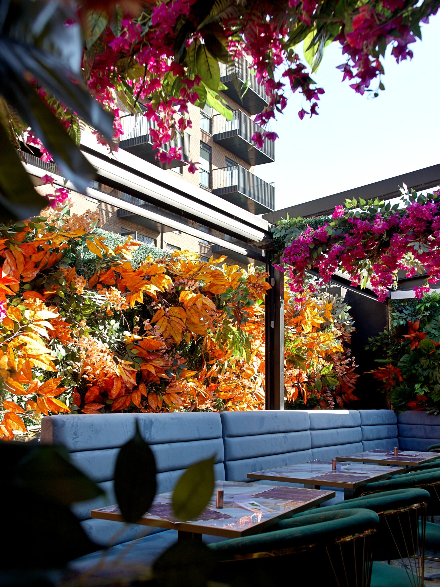 Amiri Lounge Ealing - P1422768