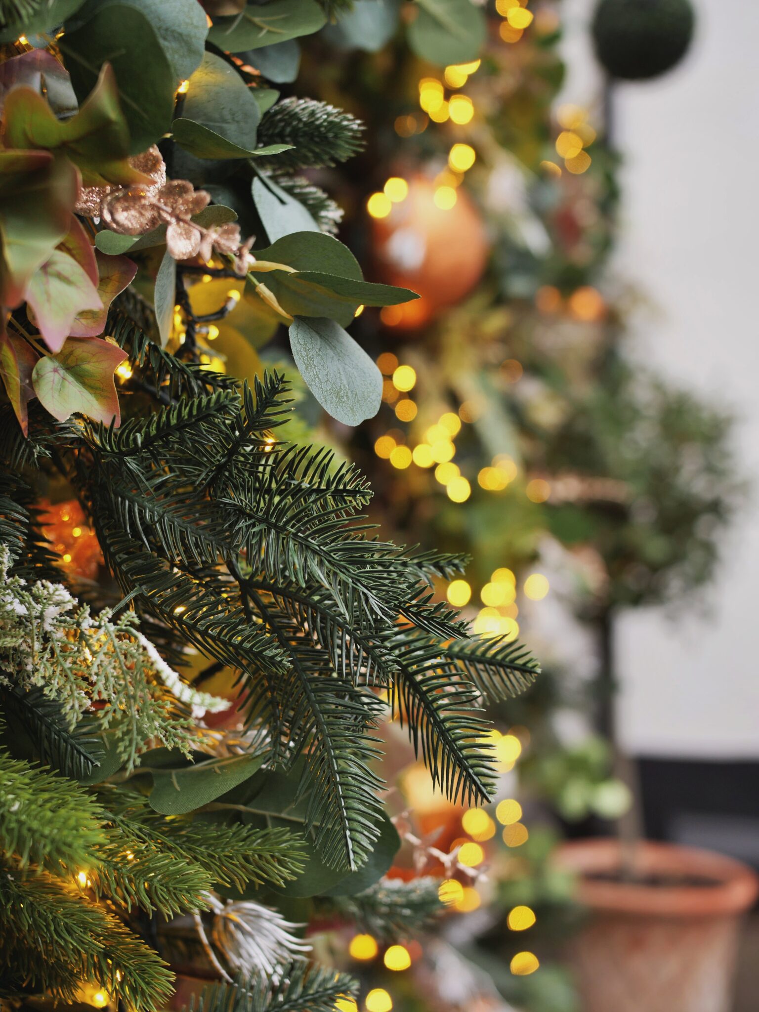 The Crown at Bray - P1433467