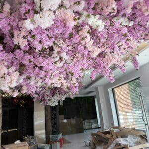 The Bastian Project - Deposit